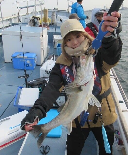 シーバス(スズキ)