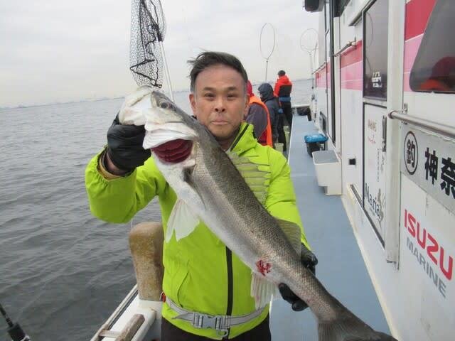 シーバス(スズキ)