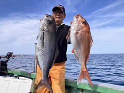 マダイ・メダイ