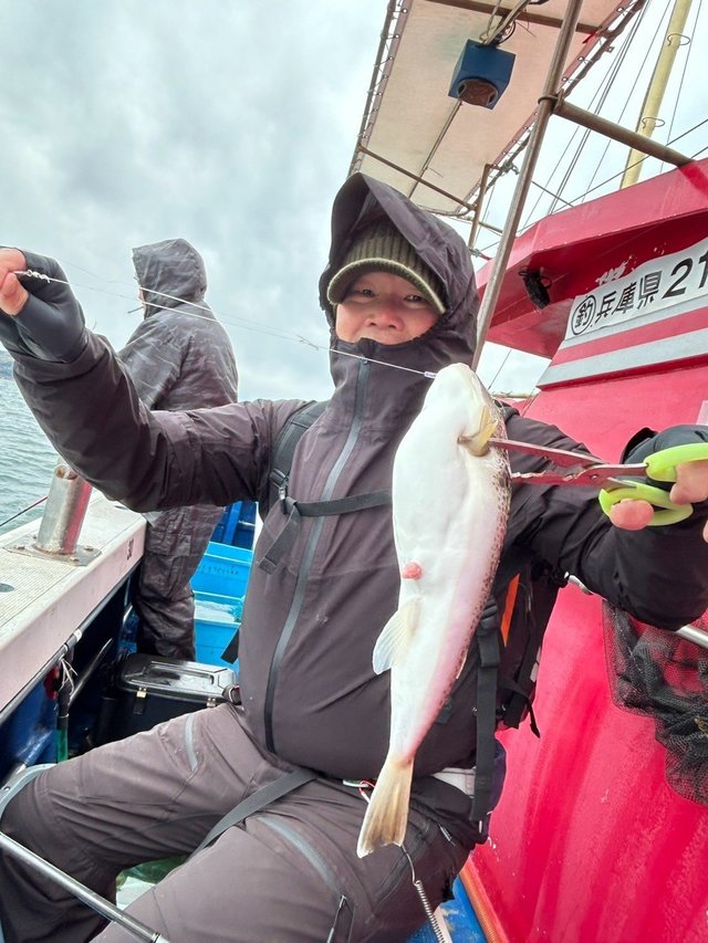 フグ(ショウサイフグ)