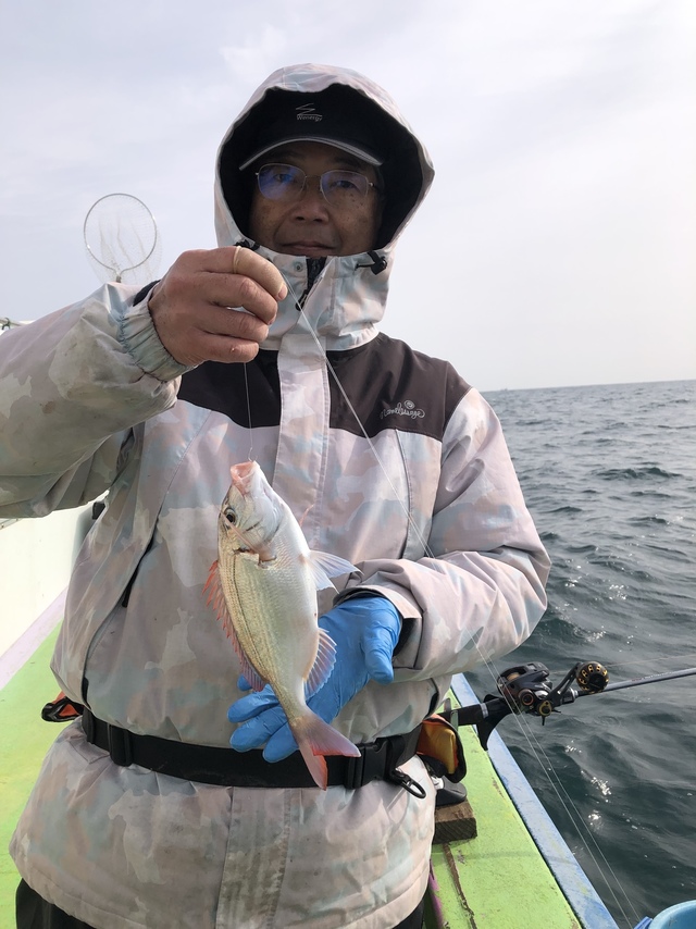 ハナダイ(チダイ)