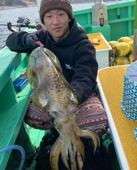 アオリ(アオリイカ)