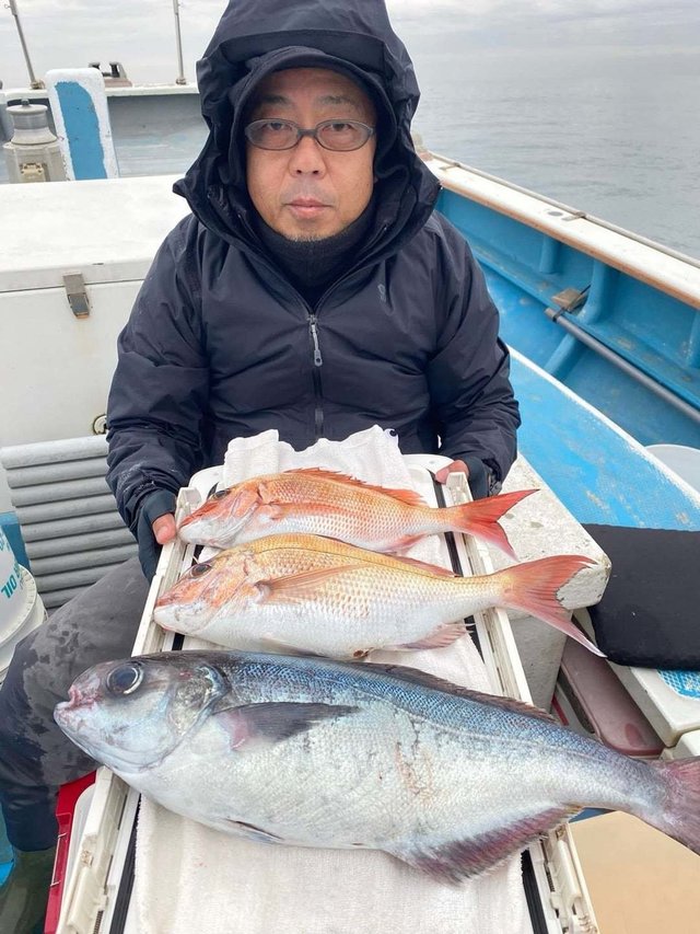 マダイ・メダイ