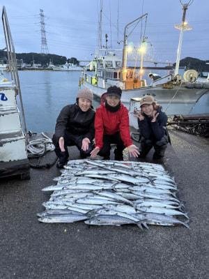 サゴシ(サワラ)