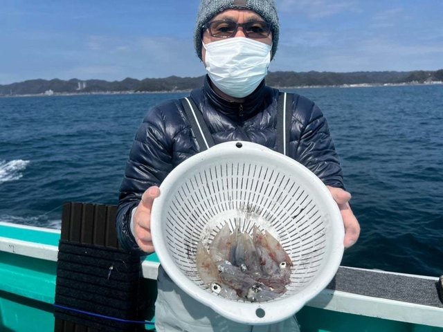 マルイカ(ケンサキイカ)