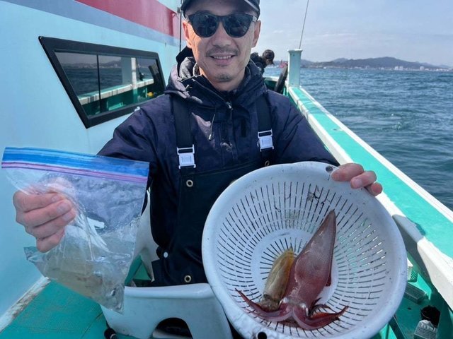 マルイカ(ケンサキイカ)