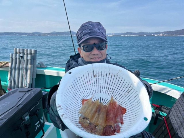 マルイカ(ケンサキイカ)