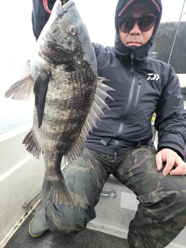 チヌ(クロダイ)