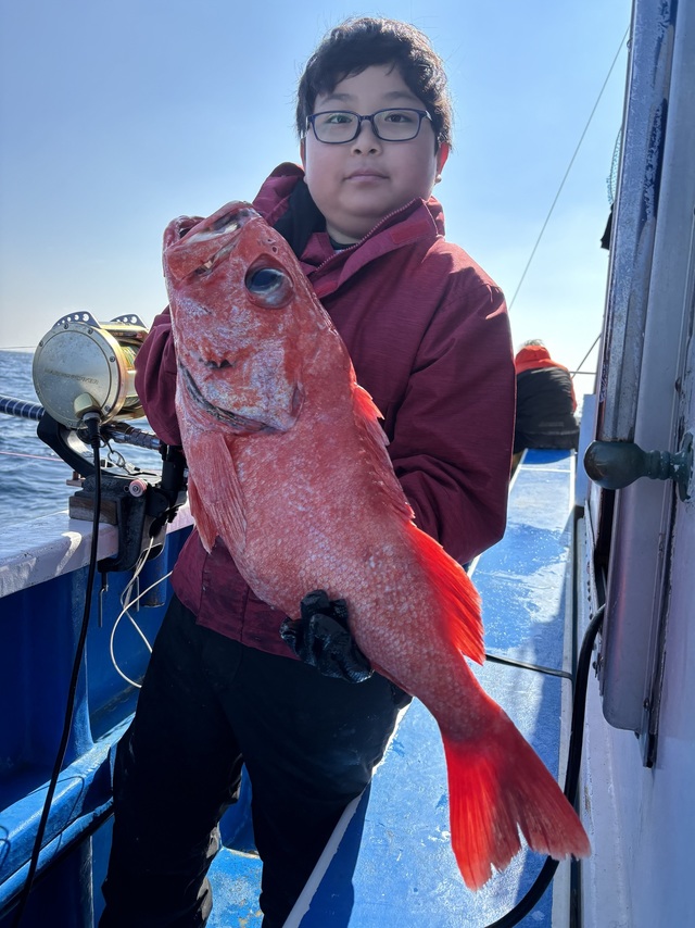 ベニアコウ(オオサガ)