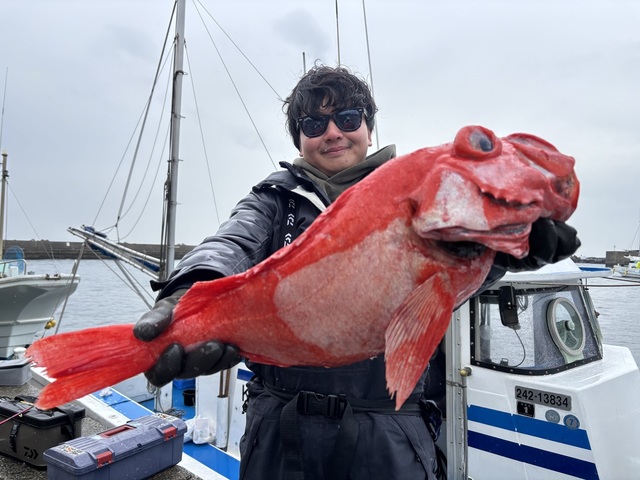 ベニアコウ(オオサガ)