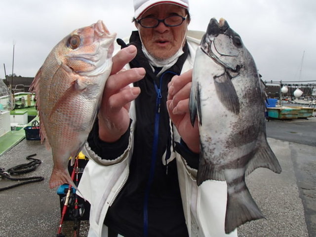 マダイ・イシダイ