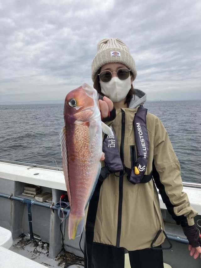 アマダイ(アカアマダイ)