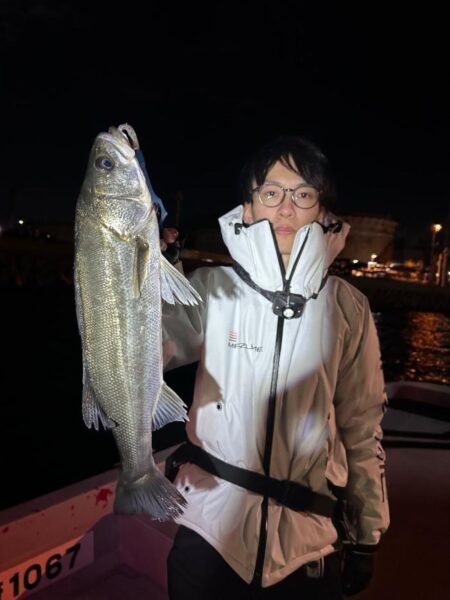 シーバス(スズキ)