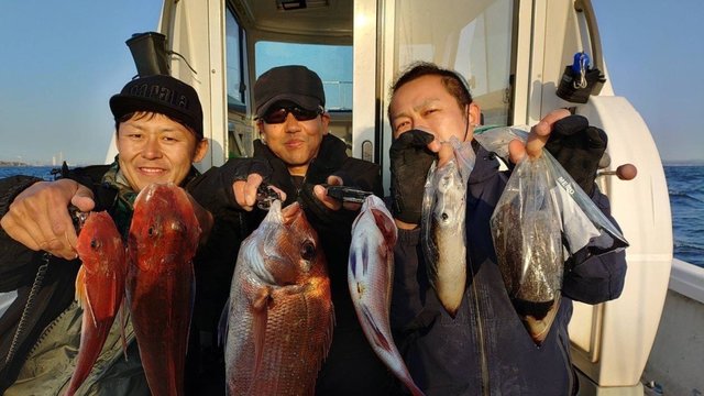 マダイ・シリヤケイカ