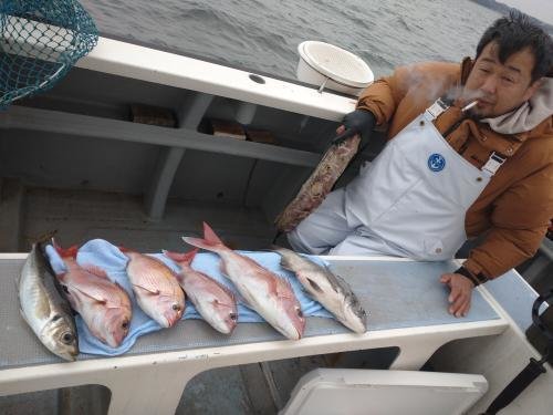 マダイ・クロダイ・アジ(マアジ)