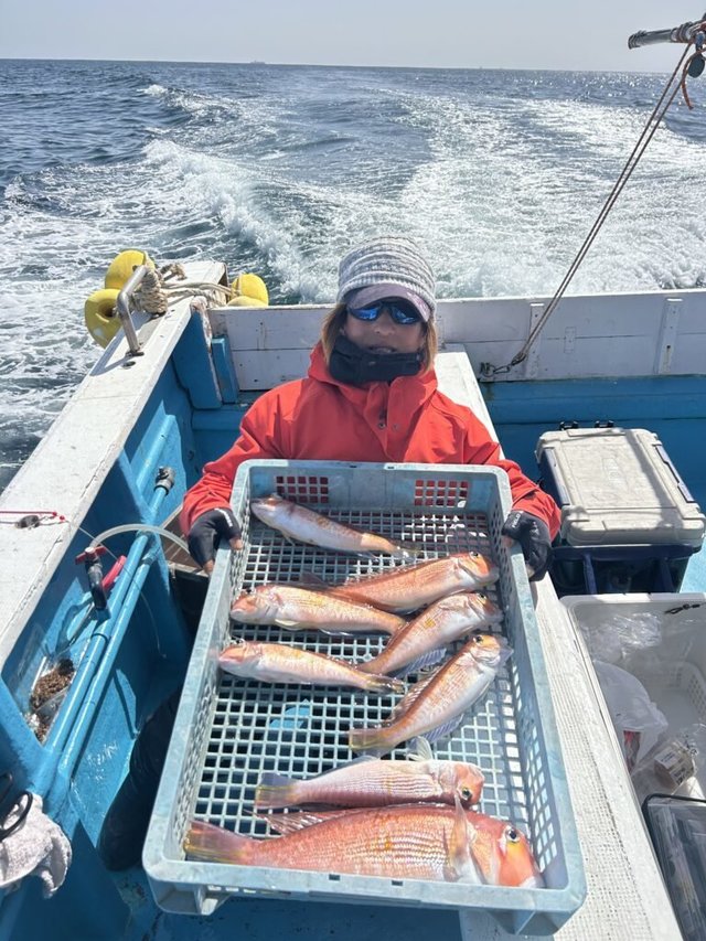 アマダイ(アカアマダイ)