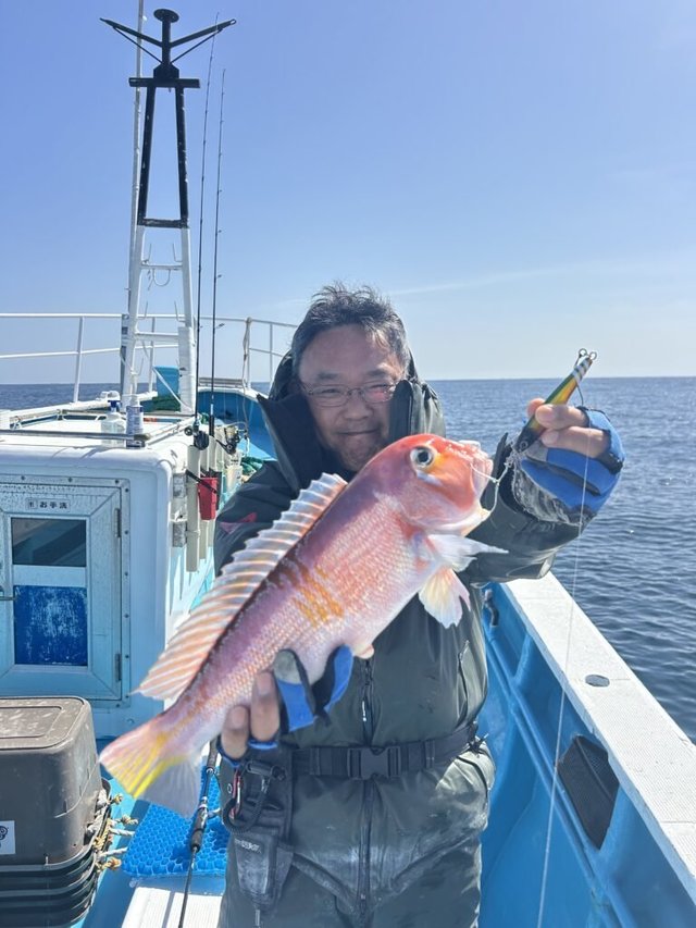 アマダイ(アカアマダイ)