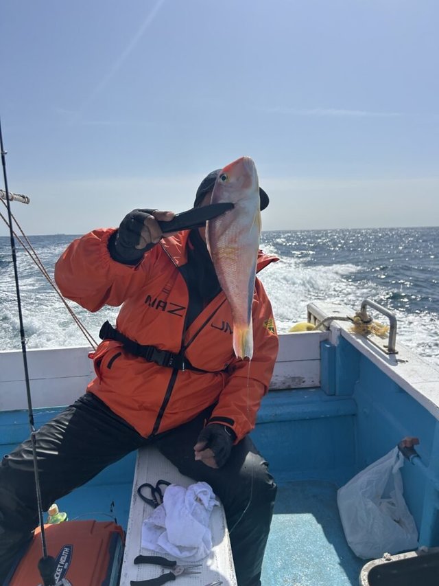 アマダイ(アカアマダイ)