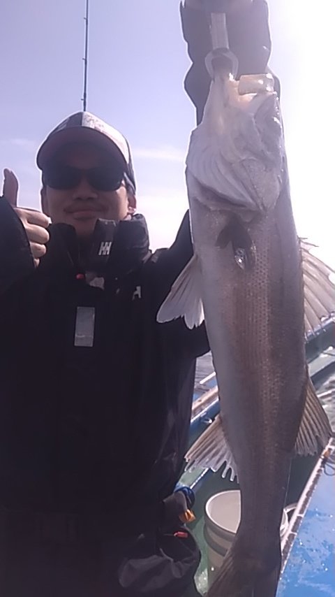 シーバス(スズキ)