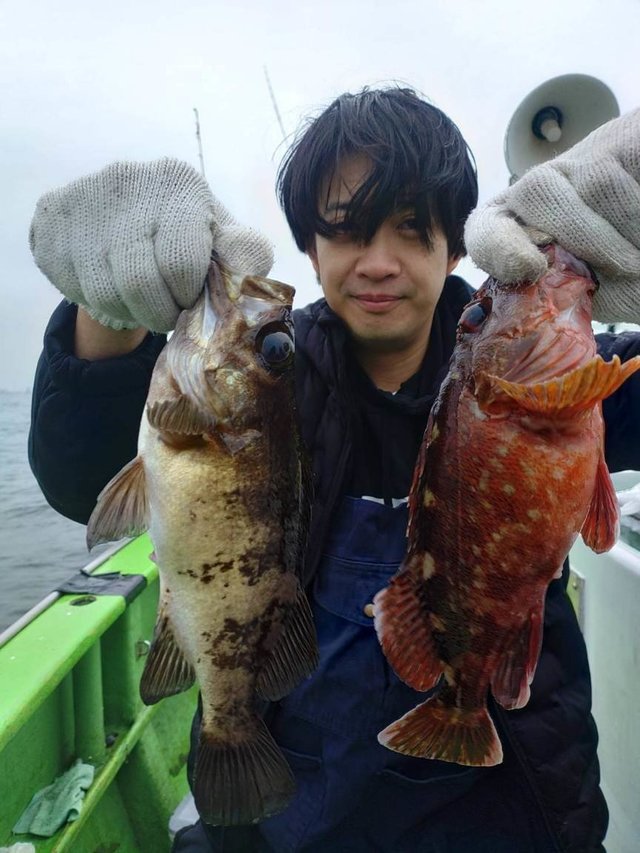 カサゴ・メバル