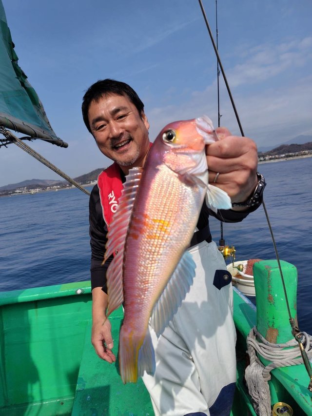 アマダイ(アカアマダイ)