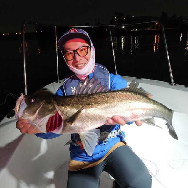 シーバス(スズキ)