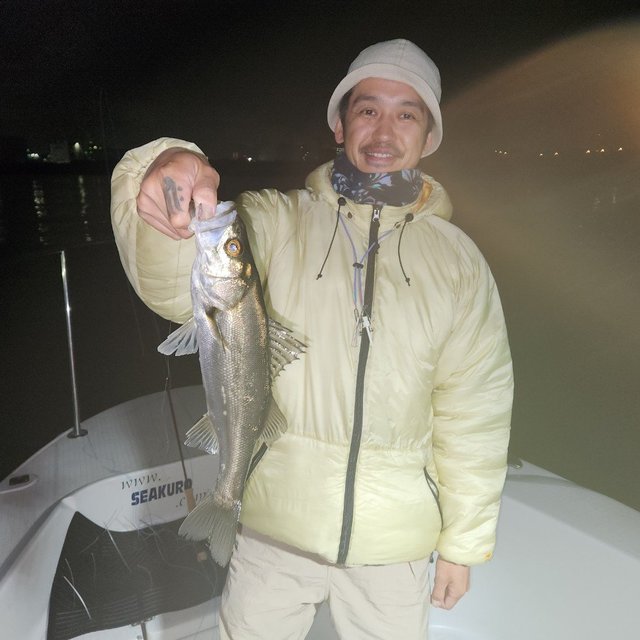 シーバス(スズキ)