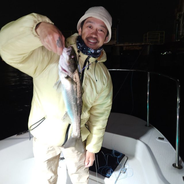 シーバス(スズキ)