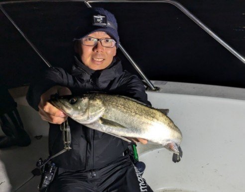 シーバス(スズキ)