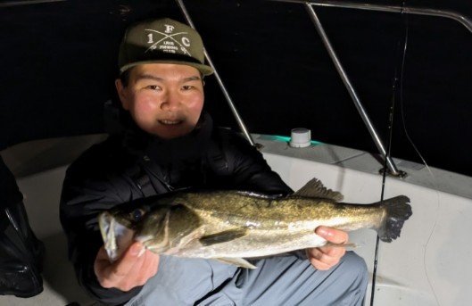 シーバス(スズキ)