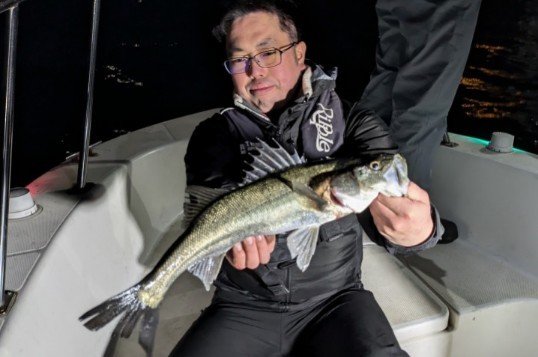 シーバス(スズキ)