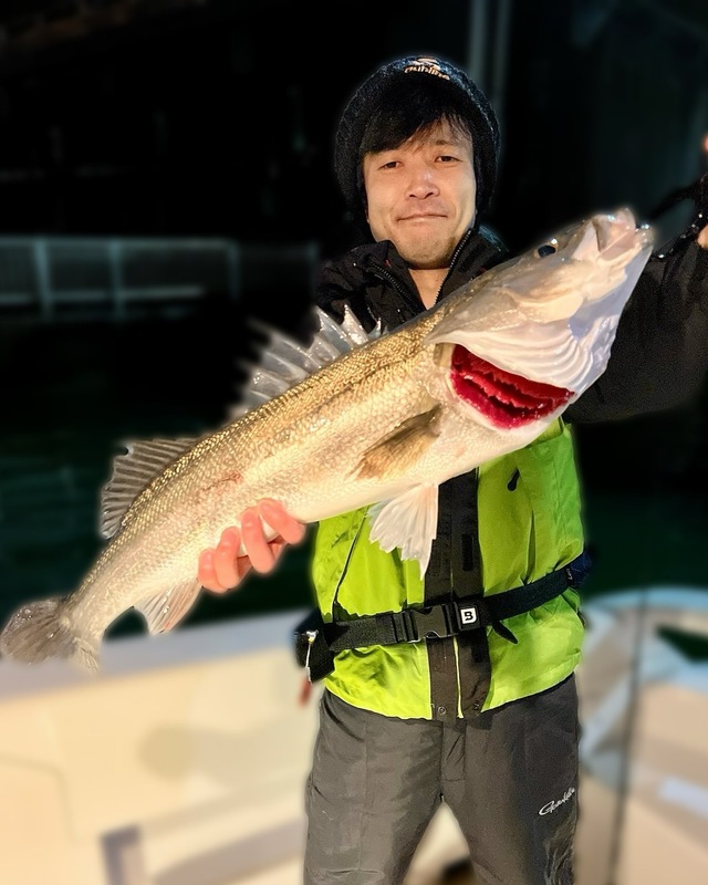 シーバス(スズキ)