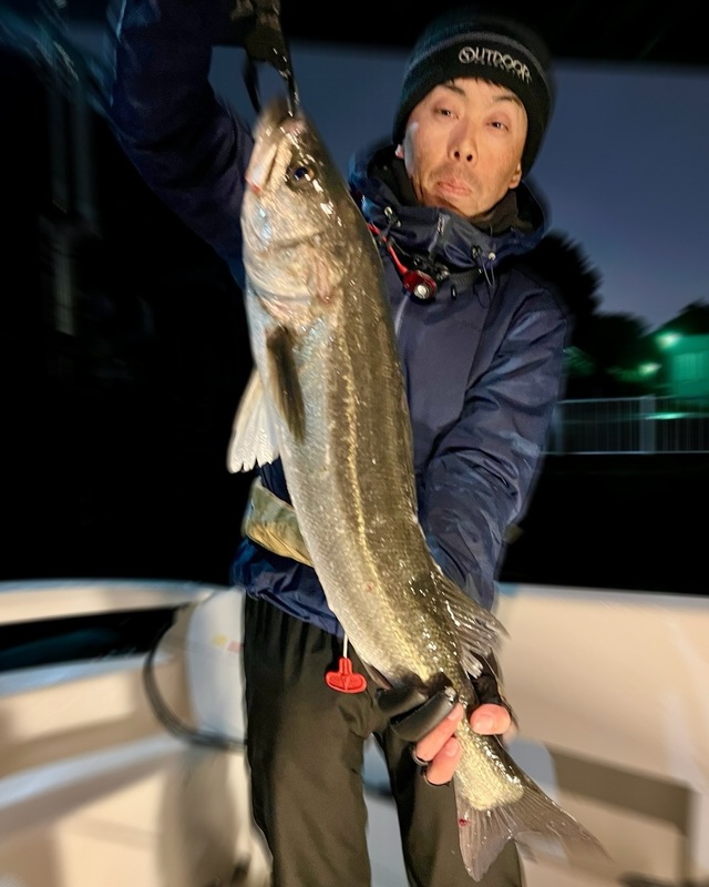 シーバス(スズキ)