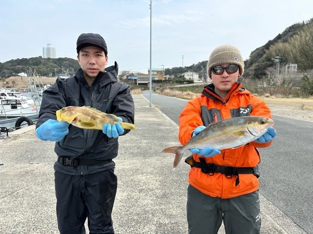 アオハタ・トラフグ