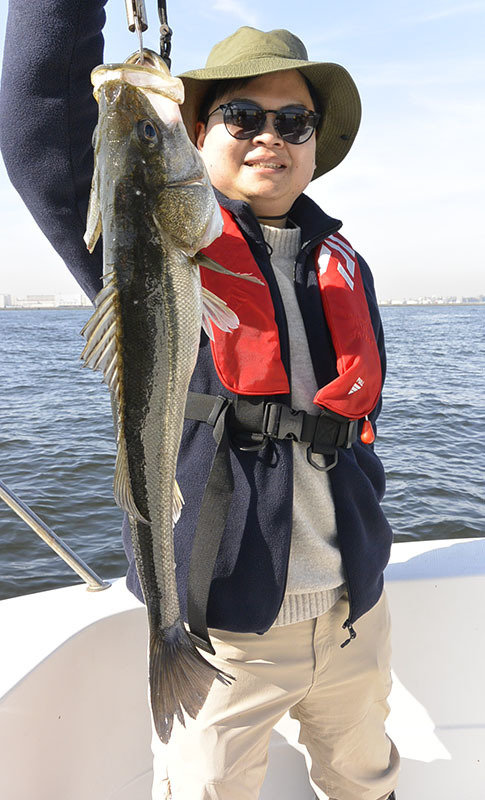 シーバス(スズキ)