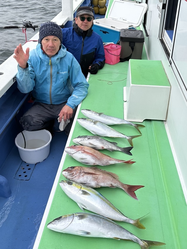 マダイ・イナダ(ブリ)