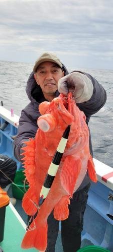 メヌケ(アコウダイ)