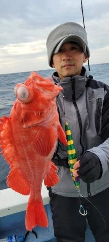 メヌケ(アコウダイ)