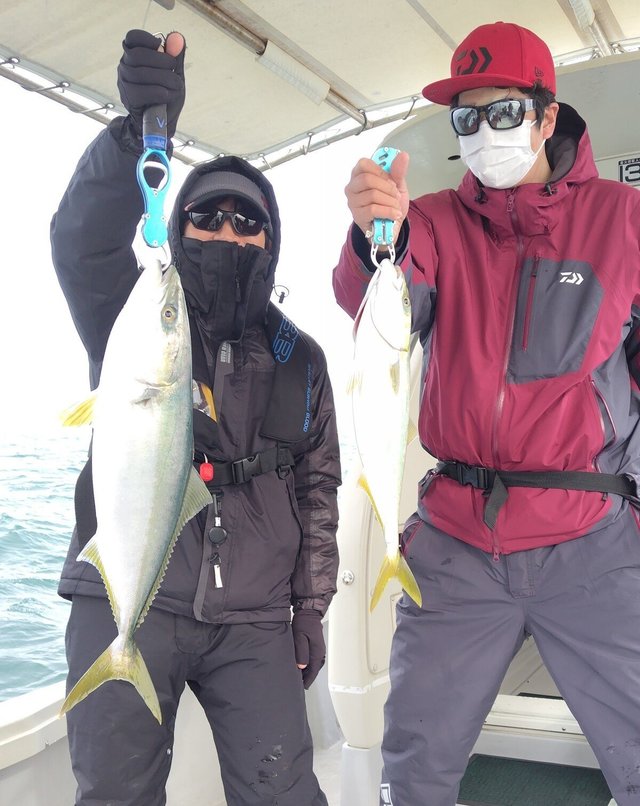 ハマチ(ブリ)・メジロ(ブリ)