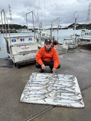 サゴシ(サワラ)