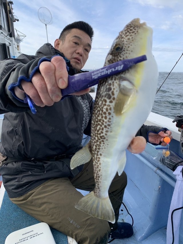 ショウサイフグ