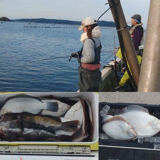 アイナメ・マコガレイ