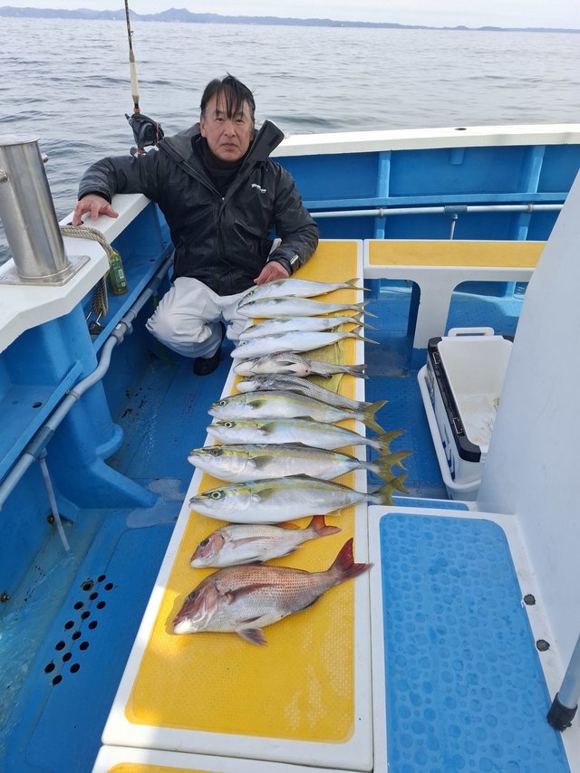 マダイ・イナダ(ブリ)