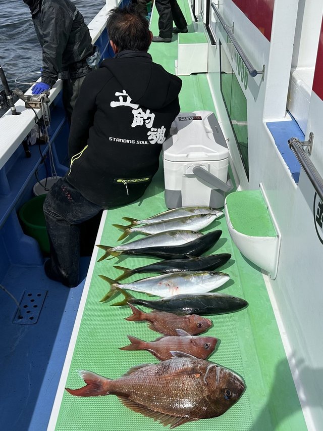 マダイ・イナダ(ブリ)