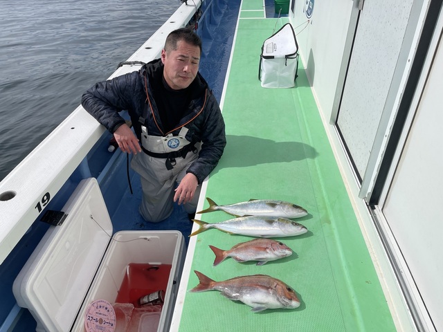 マダイ・イナダ(ブリ)