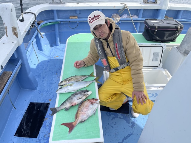 マダイ・クロダイ・イナダ(ブリ)