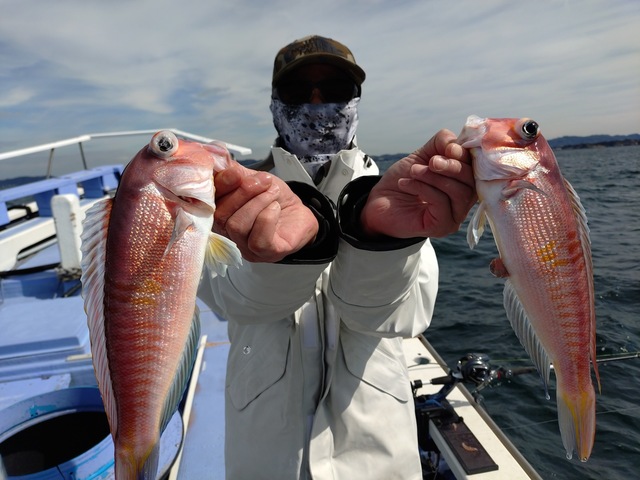 アマダイ(アカアマダイ)