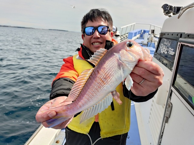 アマダイ(アカアマダイ)