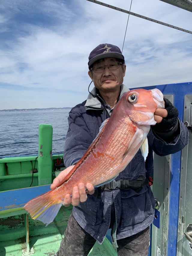 アマダイ(アカアマダイ)