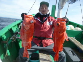 ベニアコウ(オオサガ)